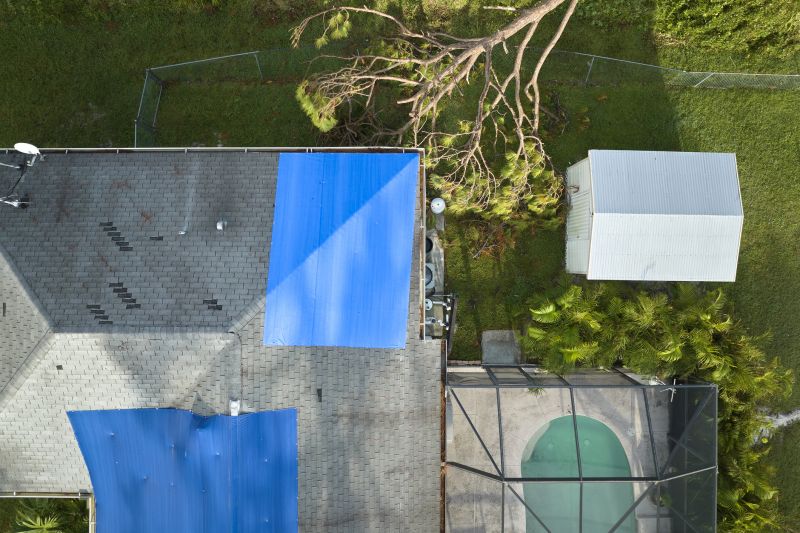 Storm Damage Response